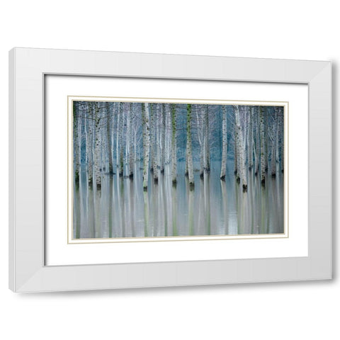 Enchanted Forest White Modern Wood Framed Art Print with Double Matting by Butnaru, Ralu