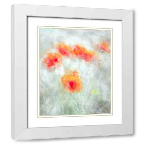 Red Corn Flowers White Modern Wood Framed Art Print with Double Matting by Behzad, Majid