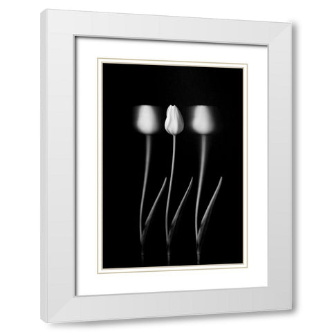Tulips White Modern Wood Framed Art Print with Double Matting by Xu, Tony