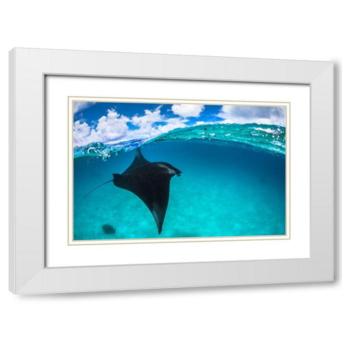A Reef Manta Ray In Mayotte White Modern Wood Framed Art Print with Double Matting by Gabriel, Barathieu