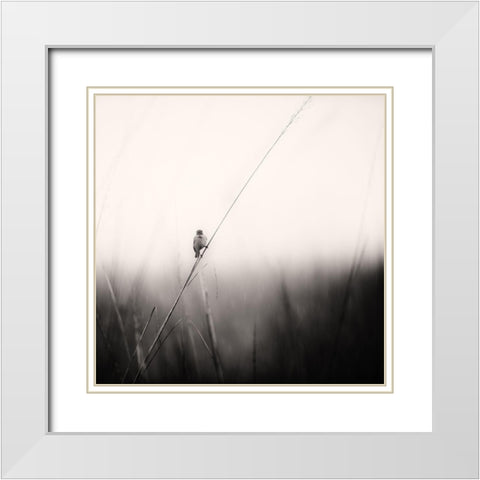 Monsoon Melodies White Modern Wood Framed Art Print with Double Matting by Swapnil