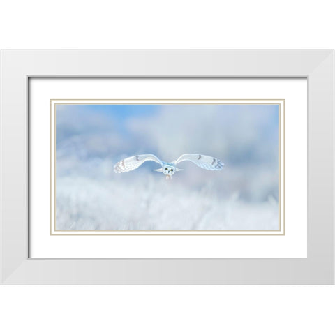 Winter-Winter-Winter,Wonderland White Modern Wood Framed Art Print with Double Matting by Wong, Fion