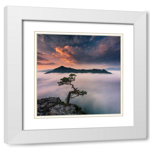 Bonsai VI White Modern Wood Framed Art Print with Double Matting by Nienartowicz, Karol