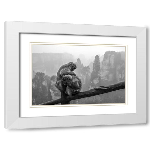 Look For Fleas White Modern Wood Framed Art Print with Double Matting by Song, Gunarto