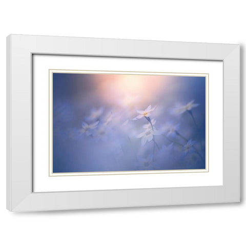In The Pale Light White Modern Wood Framed Art Print with Double Matting by Suzuki, Takashi