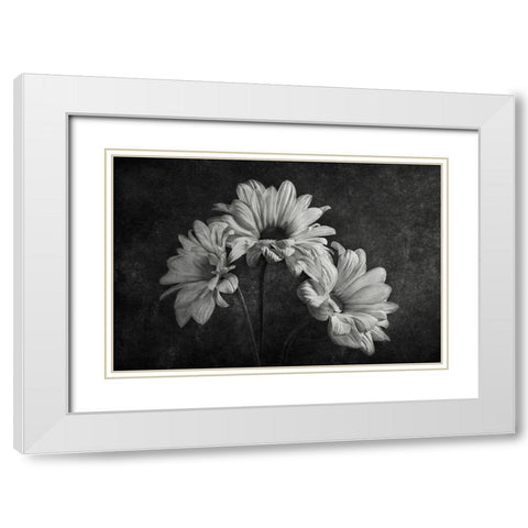 Untitled White Modern Wood Framed Art Print with Double Matting by Clough, Stephen