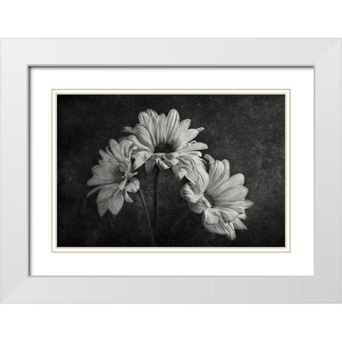 Untitled White Modern Wood Framed Art Print with Double Matting by Clough, Stephen
