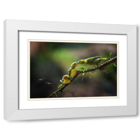 A Yellow Birds White Modern Wood Framed Art Print with Double Matting by Setiadi, Ajar