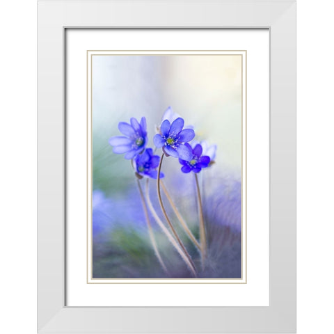 Memories Of A Spring II White Modern Wood Framed Art Print with Double Matting by Zandersons, Davis