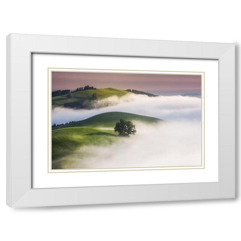 Green Hills White Modern Wood Framed Art Print with Double Matting by Jochen, Burger