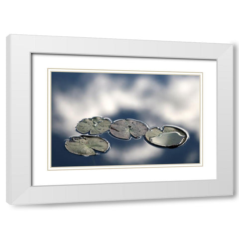 Four White Modern Wood Framed Art Print with Double Matting by Johansson, Bror