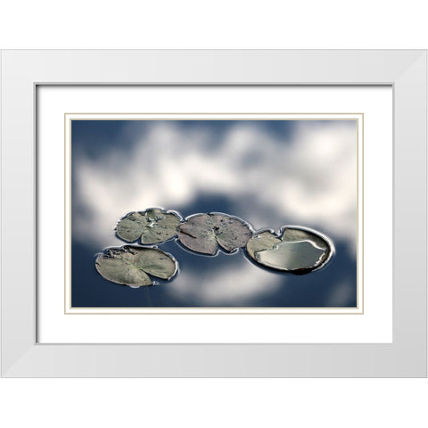 Four White Modern Wood Framed Art Print with Double Matting by Johansson, Bror