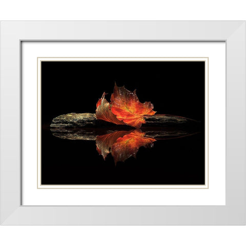 Autumn Colors White Modern Wood Framed Art Print with Double Matting by Ianeva, Aida