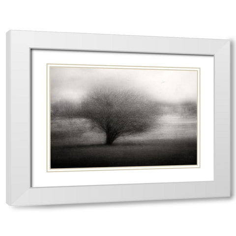 On The Meadow White Modern Wood Framed Art Print with Double Matting by Holmstrom, Katarina