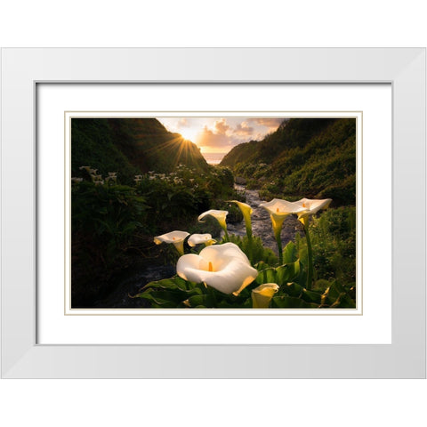 Calla Lily World White Modern Wood Framed Art Print with Double Matting by Macua, Gerald