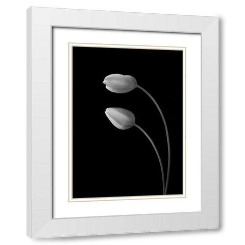 Flowers Love White Modern Wood Framed Art Print with Double Matting by Xu, Tony