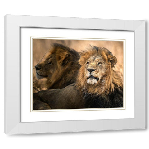 Waiting White Modern Wood Framed Art Print with Double Matting by Tsui, Hung