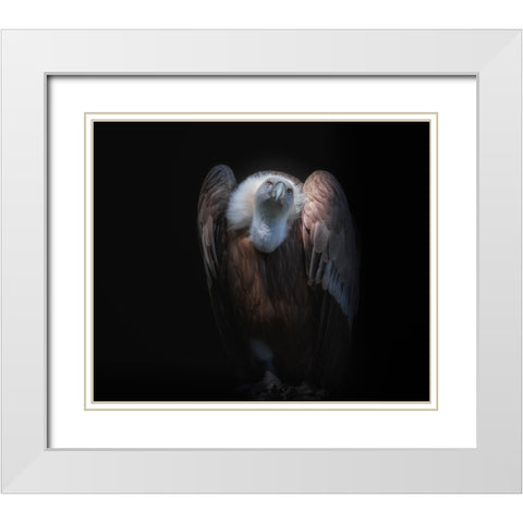 observant White Modern Wood Framed Art Print with Double Matting by Kamera