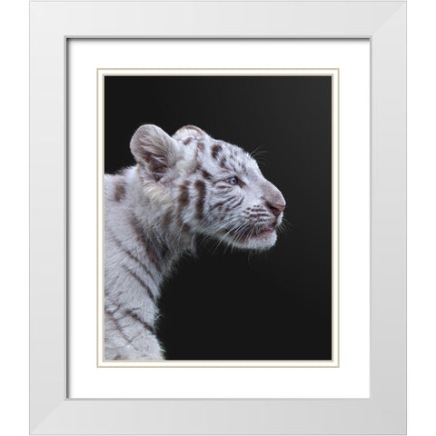 The Hunter White Modern Wood Framed Art Print with Double Matting by Fegari