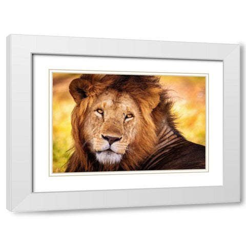 King Doa White Modern Wood Framed Art Print with Double Matting by Alnaser, Mohammed