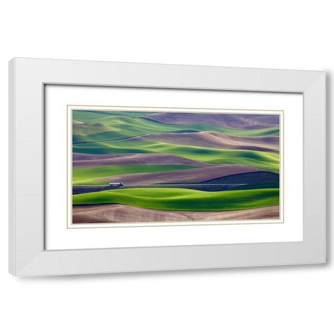 Driving In The Wheat Field At Palouse White Modern Wood Framed Art Print with Double Matting by Gao, Danny