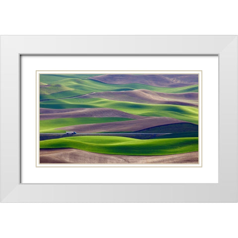 Driving In The Wheat Field At Palouse White Modern Wood Framed Art Print with Double Matting by Gao, Danny