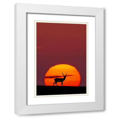 Sun Crossing White Modern Wood Framed Art Print with Double Matting by Saleem, Abdul