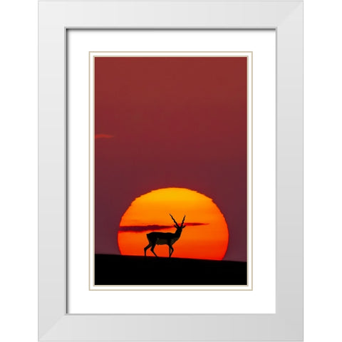 Sun Crossing White Modern Wood Framed Art Print with Double Matting by Saleem, Abdul