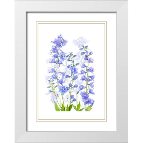 Delphinium White Modern Wood Framed Art Print with Double Matting by Parker, Jacky
