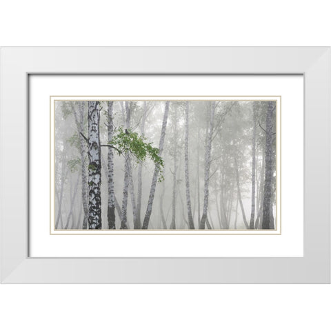 Non-Flying Weather White Modern Wood Framed Art Print with Double Matting by Romanchuk, Sergey