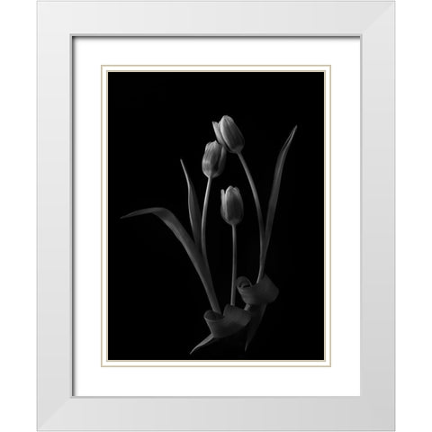 Familylove White Modern Wood Framed Art Print with Double Matting by Liu, Yanny