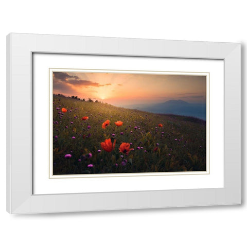 Rudbar Heights In Spring White Modern Wood Framed Art Print with Double Matting by Behzad, Majid