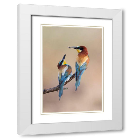 The Gift White Modern Wood Framed Art Print with Double Matting by Bolla, Paolo