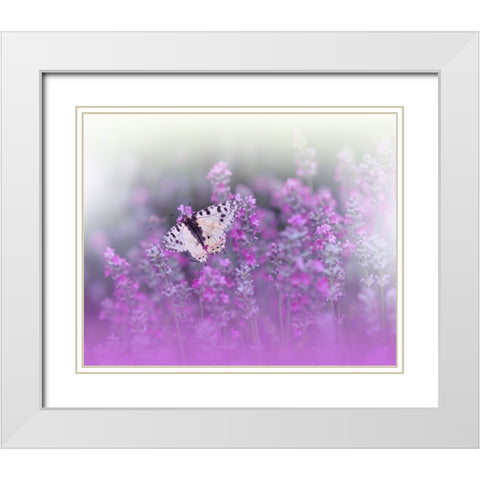 Queen Of Flowers..II White Modern Wood Framed Art Print with Double Matting by Nan, Juliana