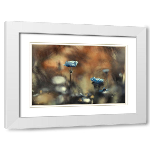 Let Flowers Rule The World White Modern Wood Framed Art Print with Double Matting by Bravin, Fabien