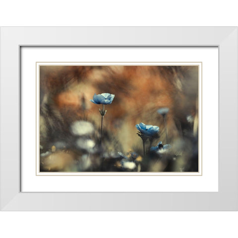 Let Flowers Rule The World White Modern Wood Framed Art Print with Double Matting by Bravin, Fabien