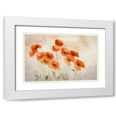 Waving In The Wind White Modern Wood Framed Art Print with Double Matting by Talen, Nel