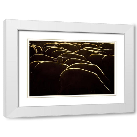 Confused White Modern Wood Framed Art Print with Double Matting by Bagci, Emir