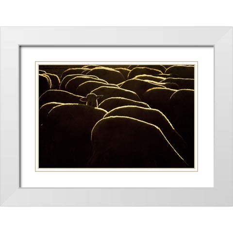 Confused White Modern Wood Framed Art Print with Double Matting by Bagci, Emir