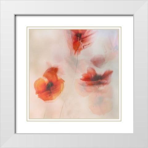 Painted Poppies White Modern Wood Framed Art Print with Double Matting by Talen, Nel