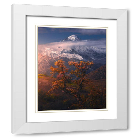 Autumnal Theme In Alborz Mountains White Modern Wood Framed Art Print with Double Matting by Behzad, Majid