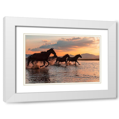 Water Horses White Modern Wood Framed Art Print with Double Matting by Tekdogan, Barkan