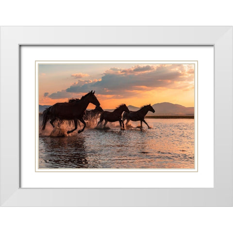 Water Horses White Modern Wood Framed Art Print with Double Matting by Tekdogan, Barkan