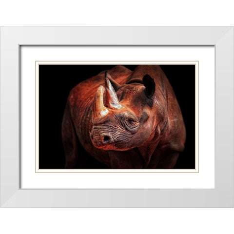 Rhino Posing White Modern Wood Framed Art Print with Double Matting by Wenner-Braun, Antje