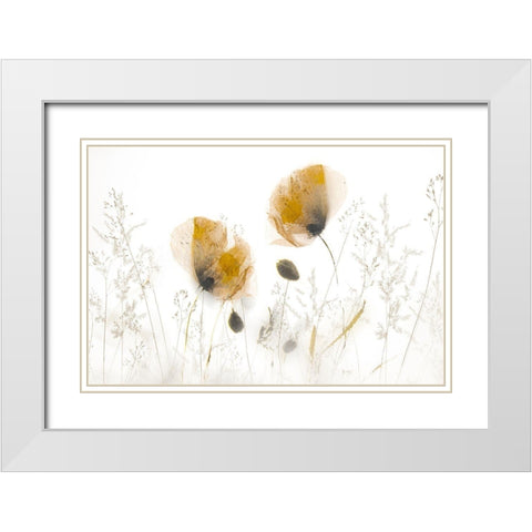 Subtle... White Modern Wood Framed Art Print with Double Matting by Talen, Nel