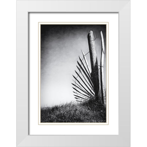 No (Of)Fence In The Dunes White Modern Wood Framed Art Print with Double Matting by Flour, Bruno