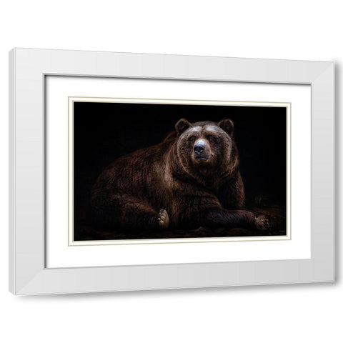 Bear Portrait White Modern Wood Framed Art Print with Double Matting by Pascual Buye, Santiago