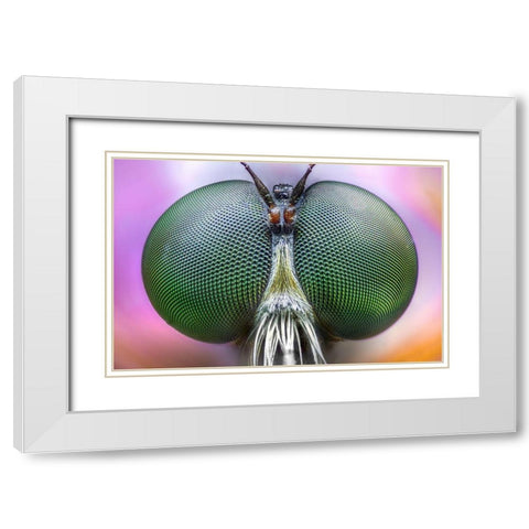 Amazing Eyes White Modern Wood Framed Art Print with Double Matting by Ghizzi Panizza, Alberto