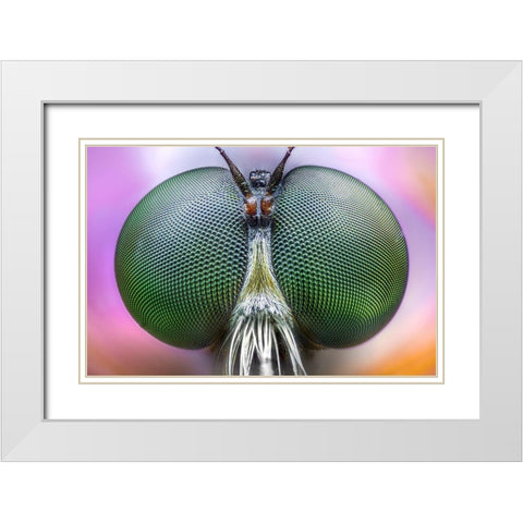 Amazing Eyes White Modern Wood Framed Art Print with Double Matting by Ghizzi Panizza, Alberto