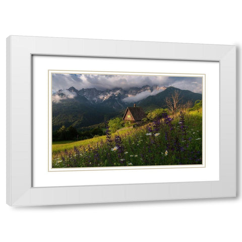 On The Meadows White Modern Wood Framed Art Print with Double Matting by Krivec, Ales